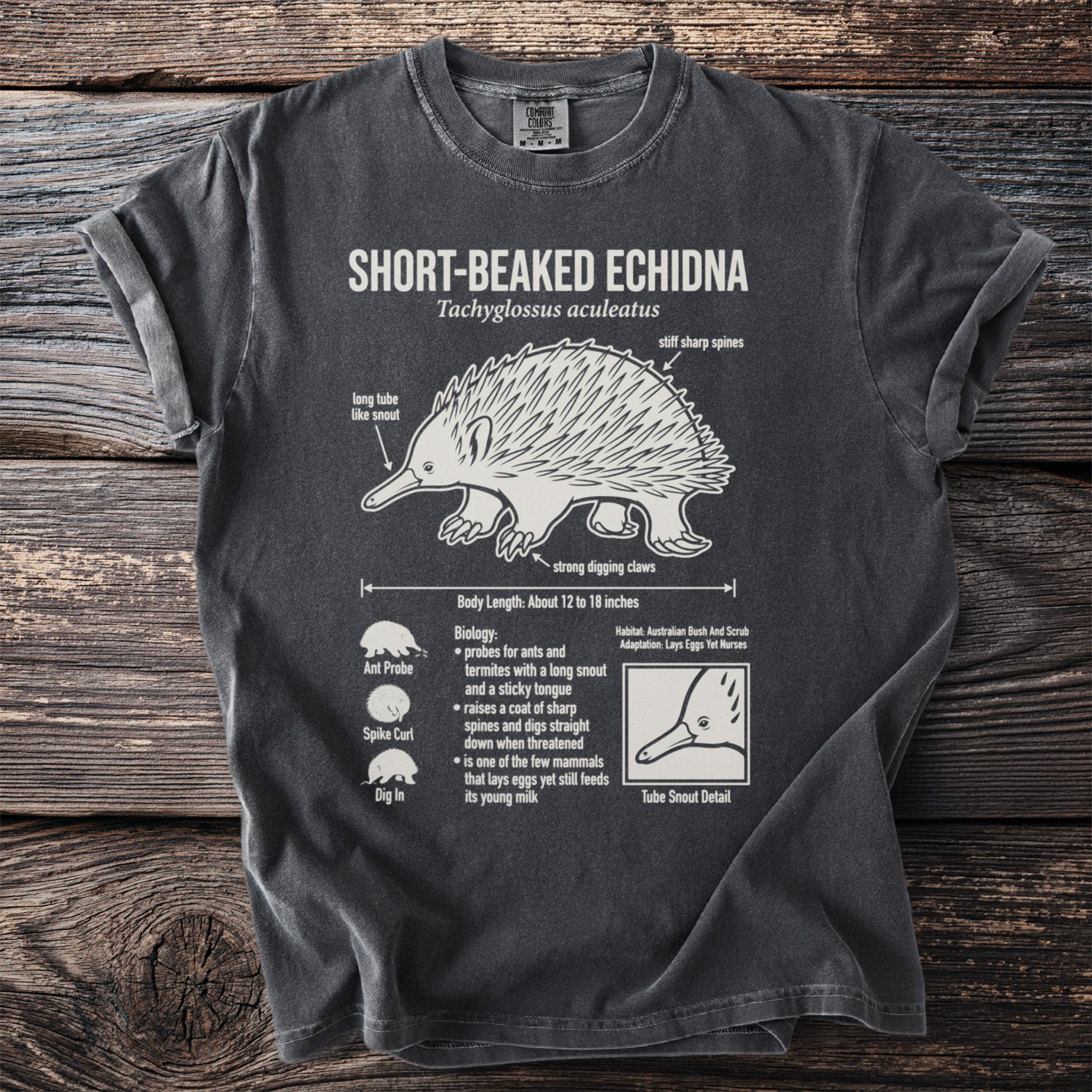Short-beaked Echidna Tachyglossus aculeatus diagram on a charcoal t-shirt.