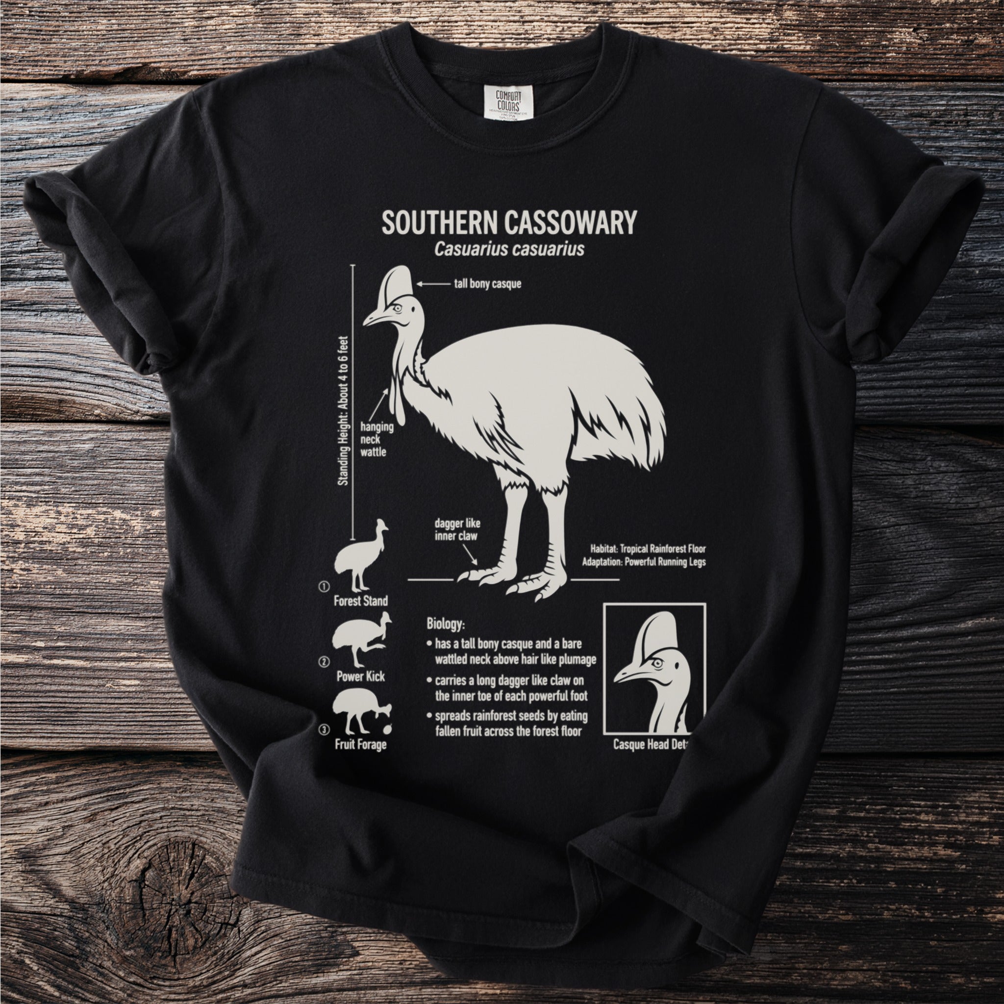 Black Comfort Colors t-shirt with Southern Cassowary illustration and biological details.