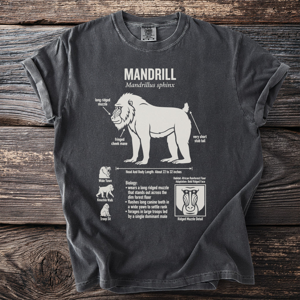 Dark grey t-shirt with Mandrill anatomy diagram and biological information.