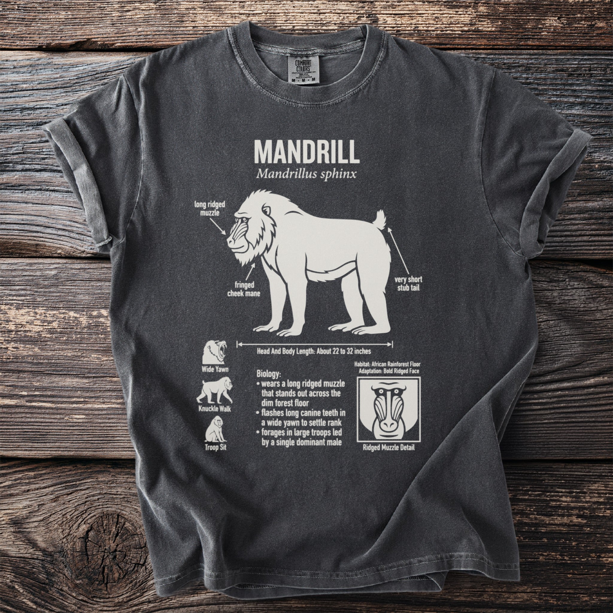 Dark grey t-shirt with Mandrill anatomy diagram and biological information.
