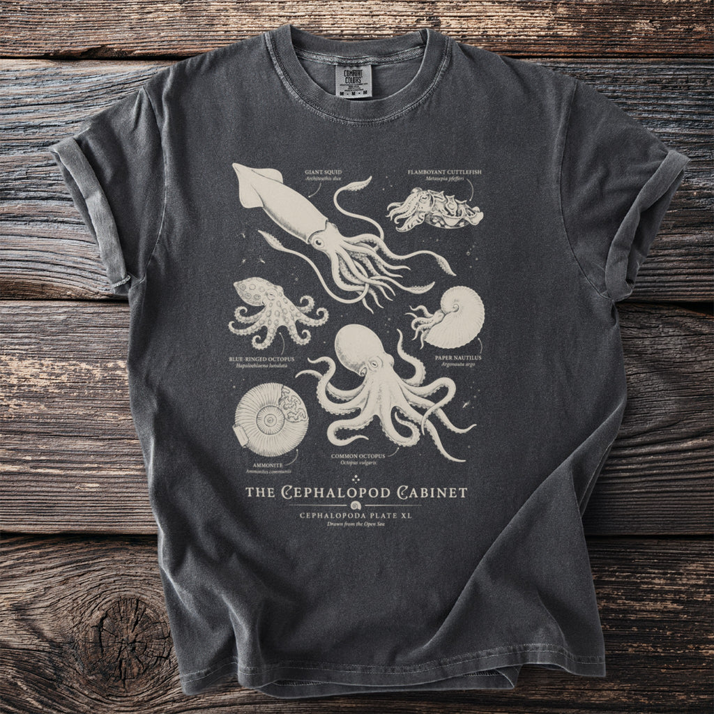 T-shirt with a detailed scientific illustration of cephalopods and sea creatures.