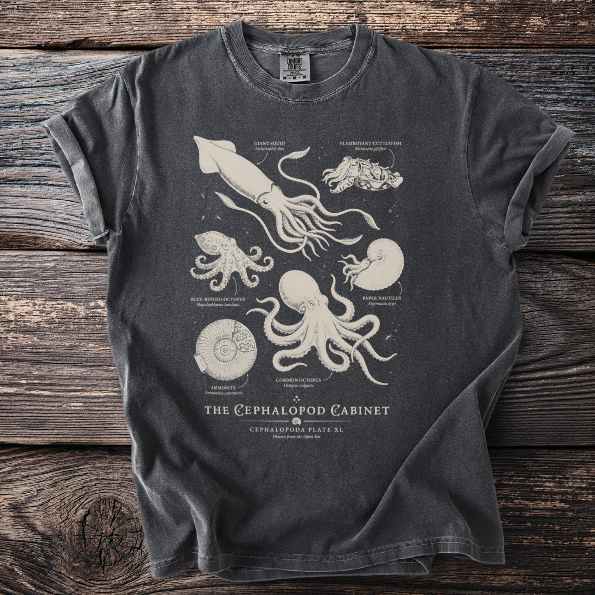 T-shirt with a detailed scientific illustration of cephalopods and sea creatures.