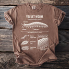 Brown t-shirt with white text and illustrations of a velvet worm and its characteristics.