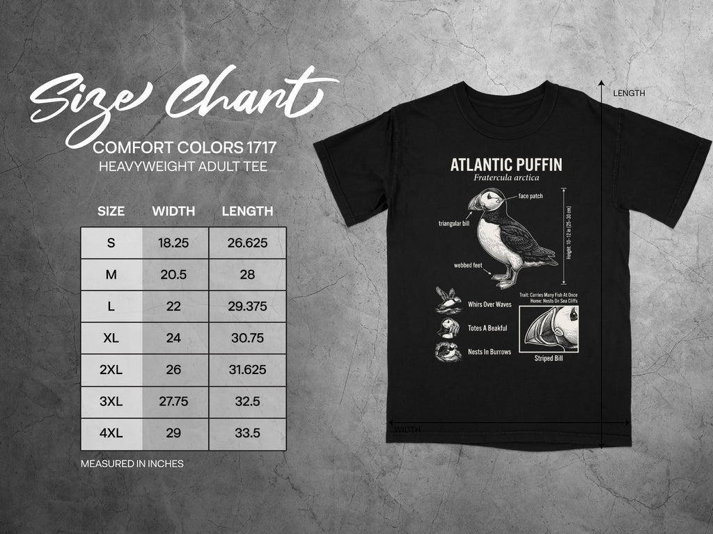 Comfort Colors 1717 garment size chart in inches.