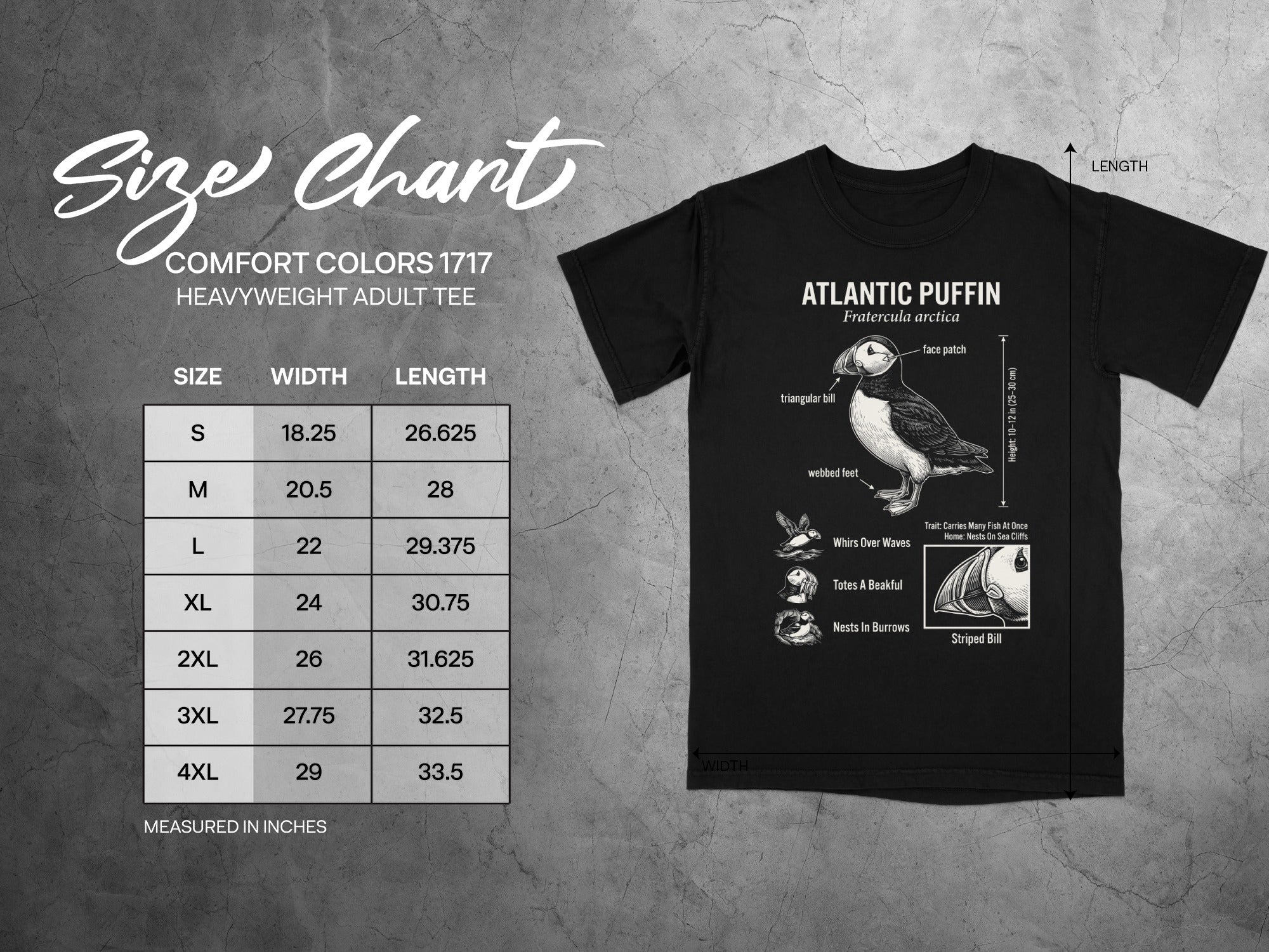 Comfort Colors 1717 garment size chart in inches.