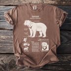 Brown t-shirt with Sun Bear scientific illustration, anatomy, and biology facts.