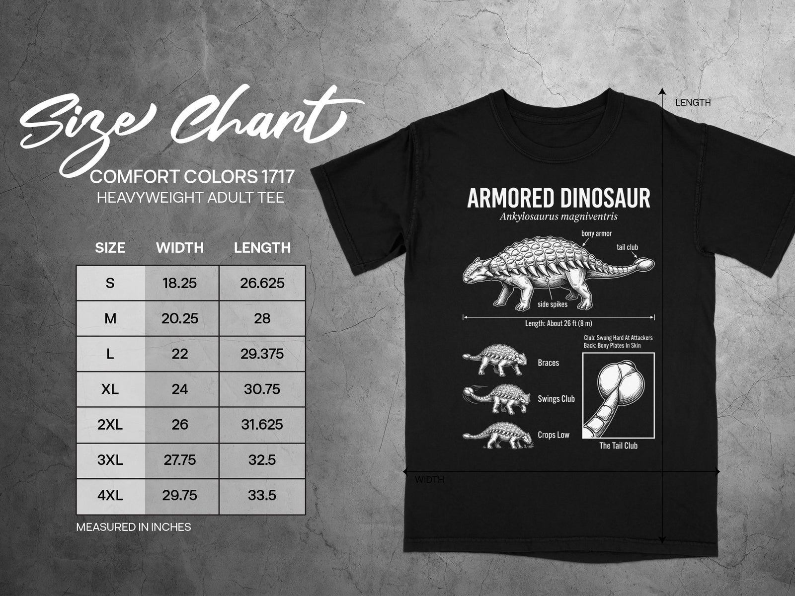 Comfort Colors 1717 heavyweight adult tee size chart with dinosaur illustration.