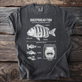 Sheepshead Fish diagram showing its spiny fin, dark bars, human teeth, and diet.