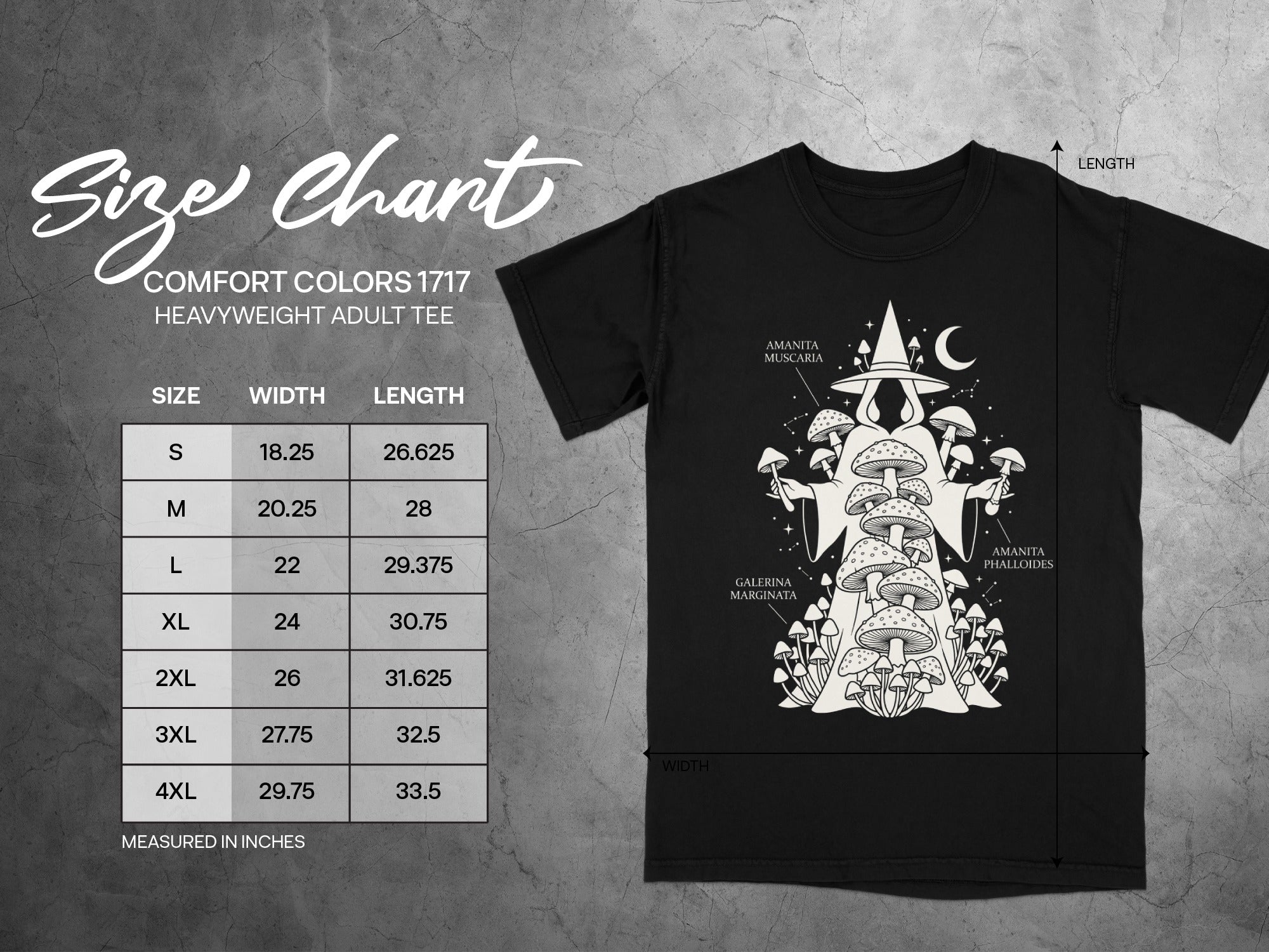Comfort Colors 1717 size chart for heavyweight adult tee, measured in inches.