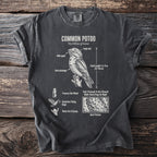 Dark gray t-shirt featuring scientific illustration of a Common Potoo bird with descriptive text.