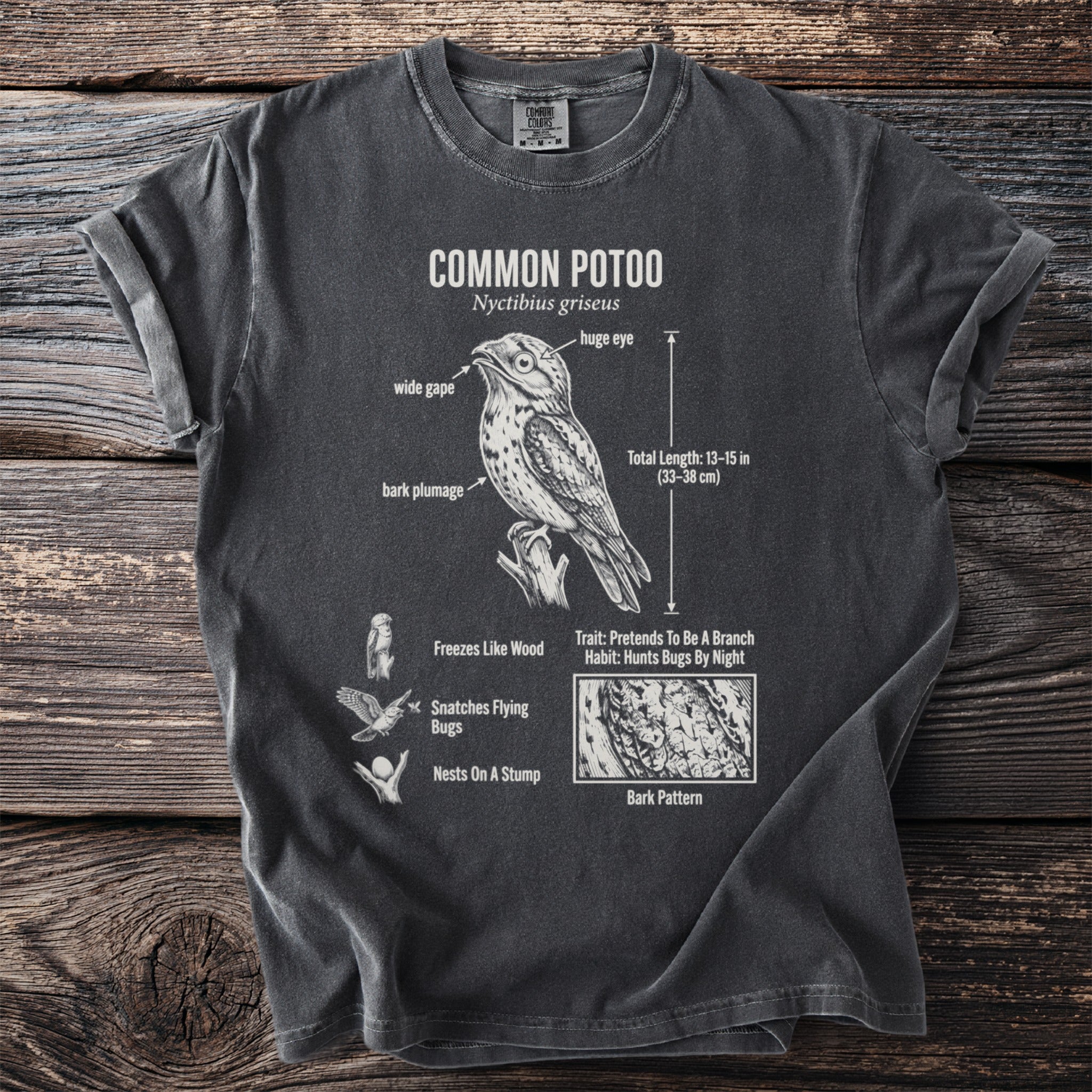 Dark gray t-shirt featuring scientific illustration of a Common Potoo bird with descriptive text.
