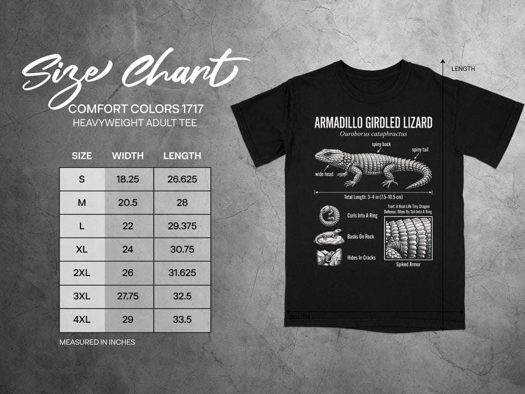 Comfort Colors 1717 garment size chart in inches.