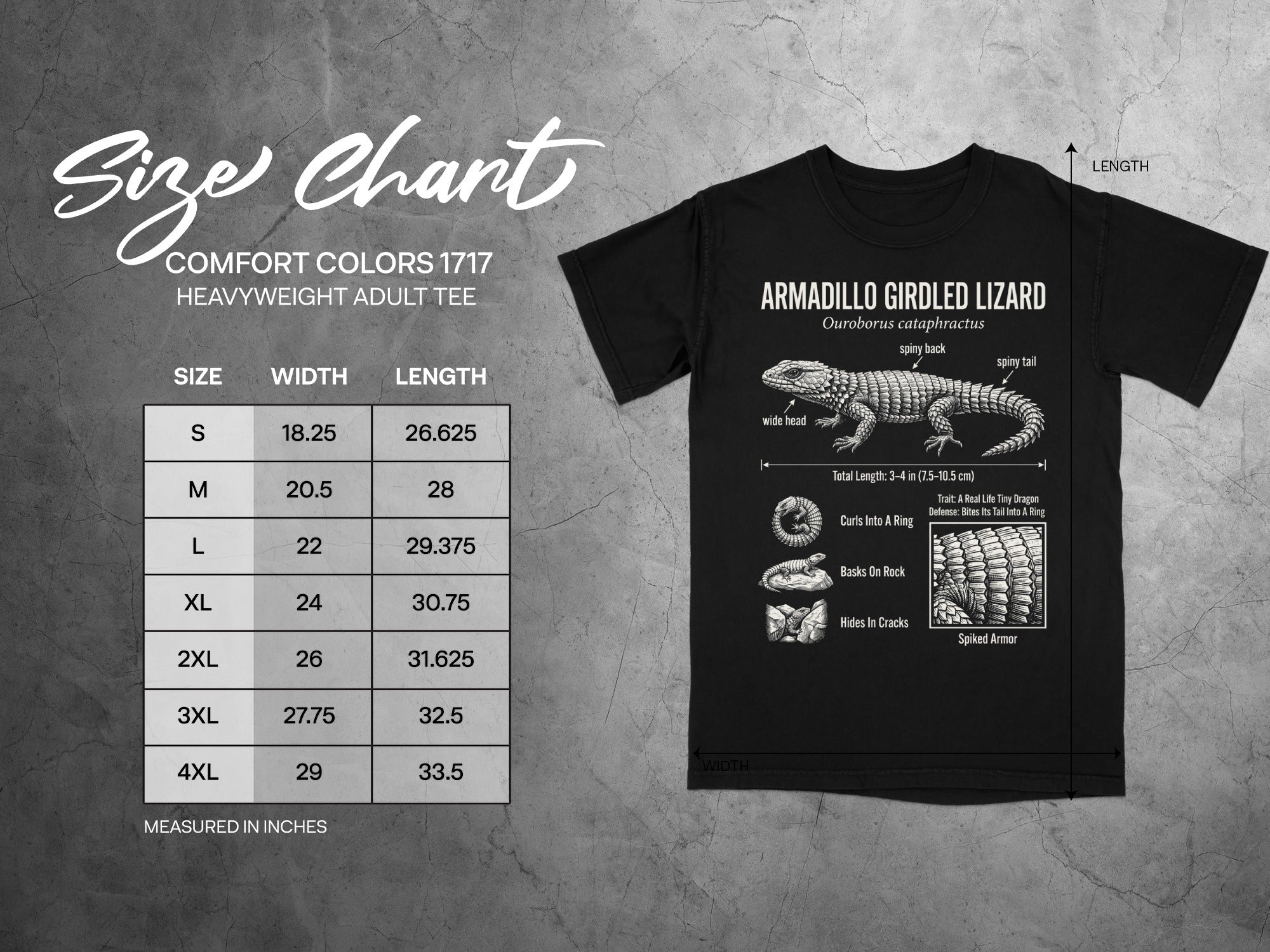 Comfort Colors 1717 garment size chart in inches.