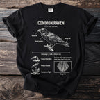 Black t-shirt with a diagram of a common raven, labeled with its features and habits.