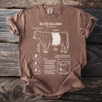 Brown t-shirt with detailed illustration of a Belted Galloway cow and breed information.