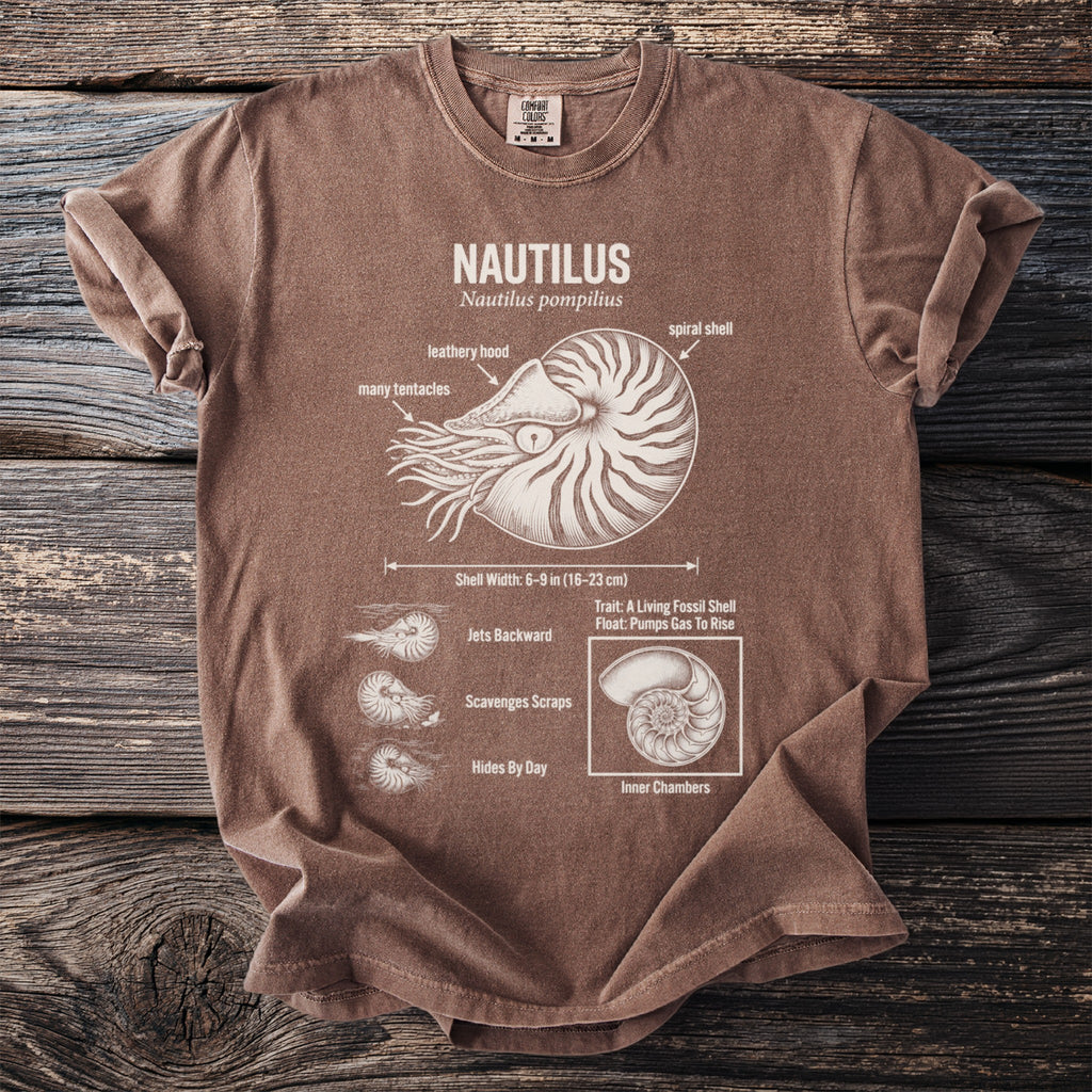 Brown t-shirt featuring Nautilus pompilius diagram with labels for shell and tentacles.