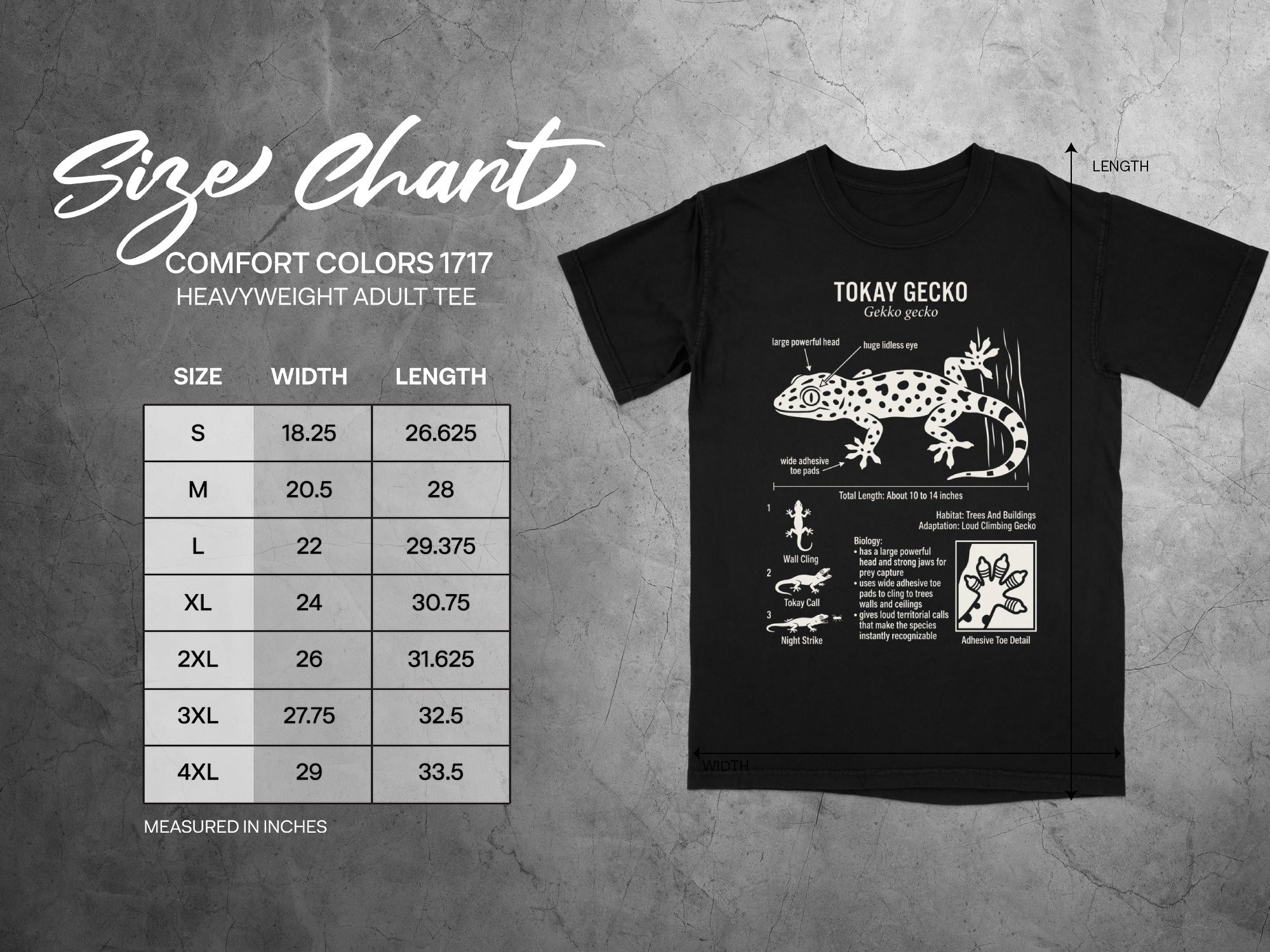 Tokay Gecko t-shirt with size chart and anatomical details of the gecko.