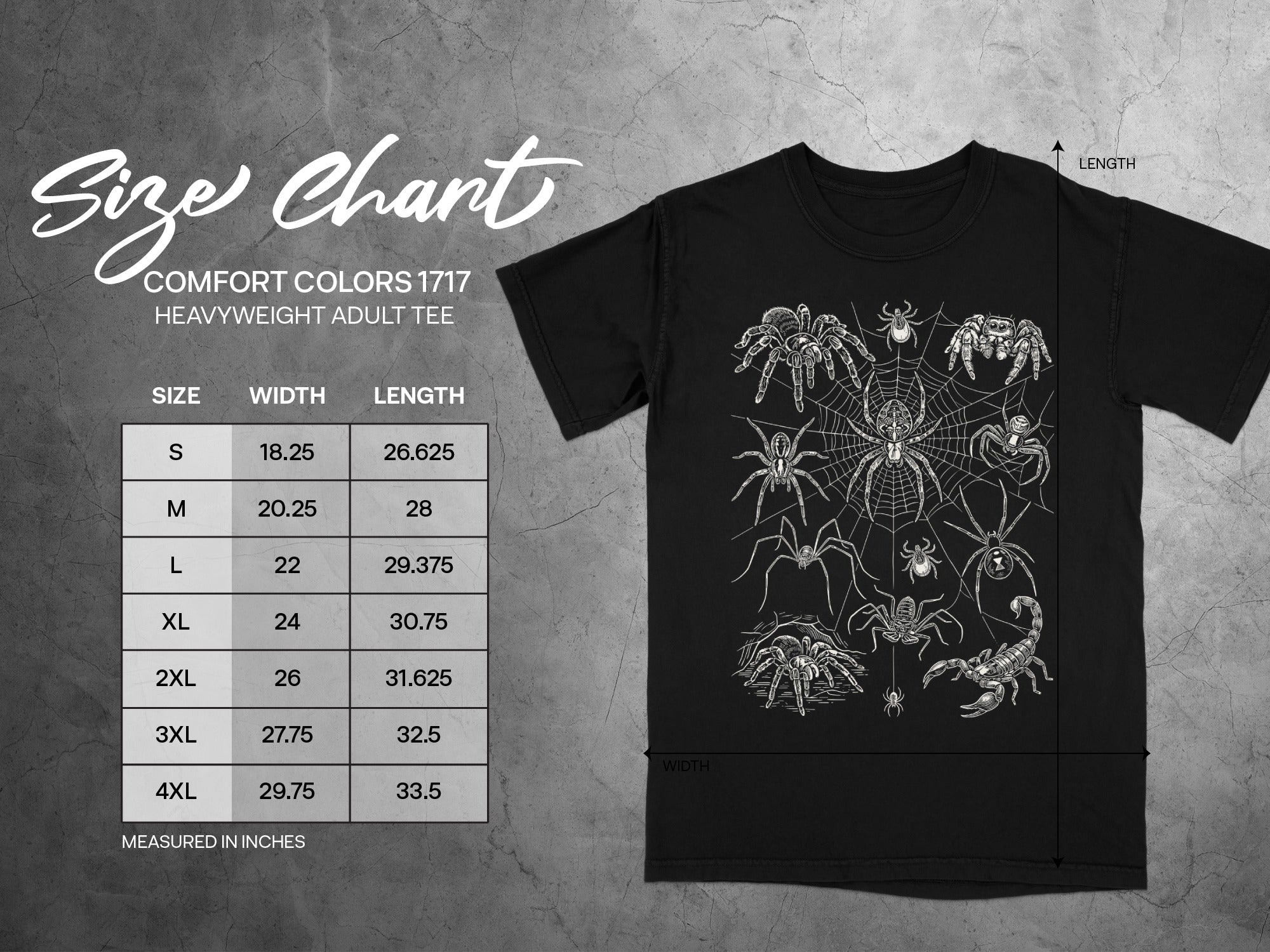 Comfort Colors 1717 heavyweight adult tee size chart with width and length measurements.