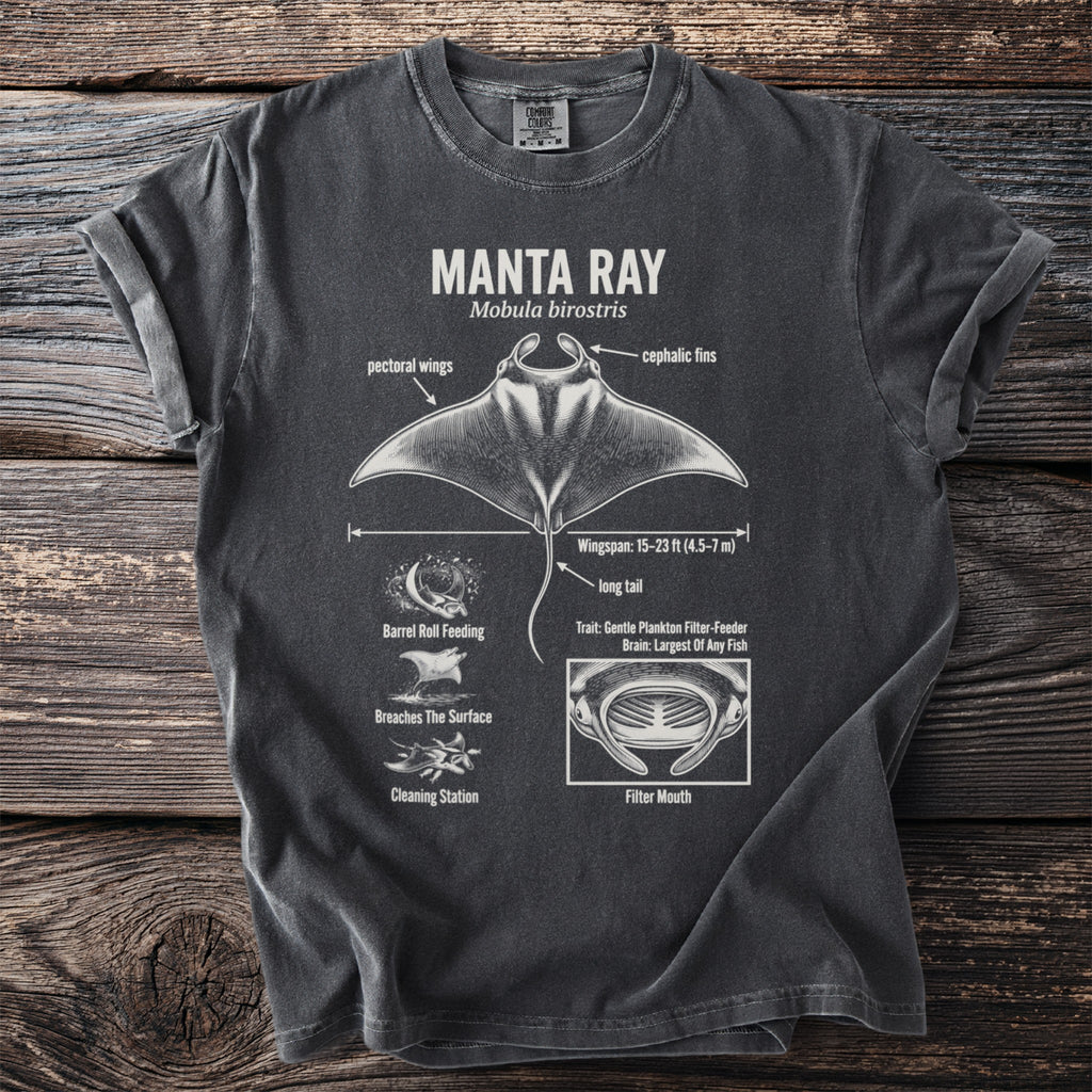 Dark gray t-shirt featuring a diagram of a manta ray with labeled anatomy and behaviors.