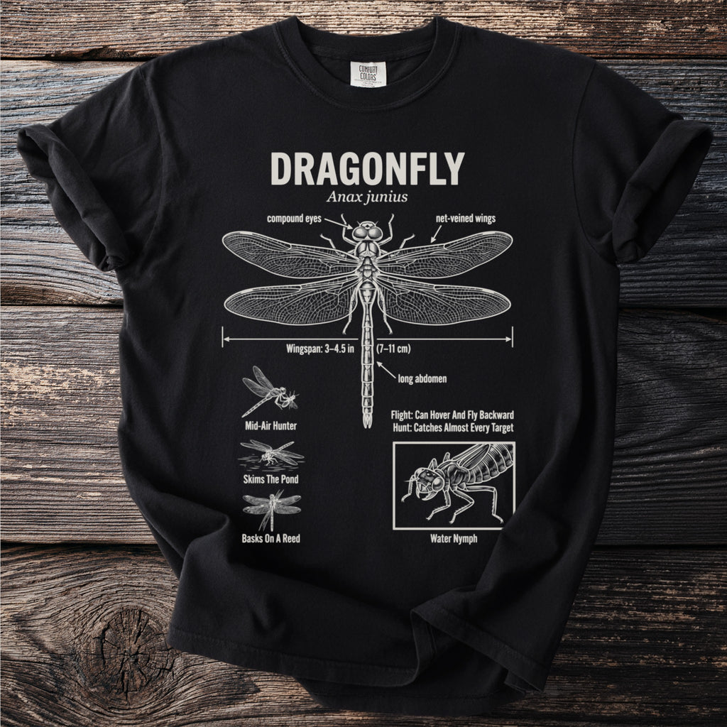Black t-shirt with detailed scientific illustration of a Dragonfly and its life stages.