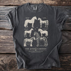 Dark grey t-shirt with illustrations of six different horse breeds and labeled text.