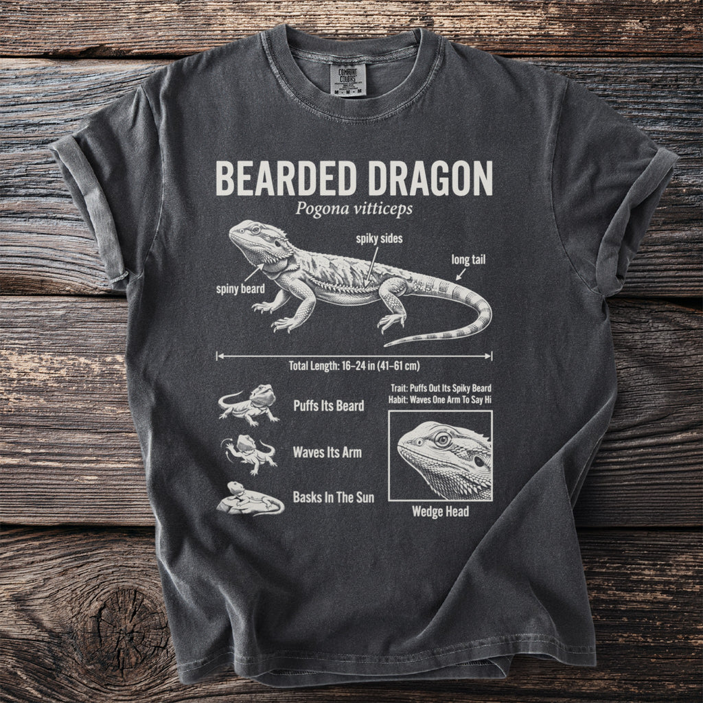 Bearded Dragon illustration with labeled anatomy, traits, and habits.