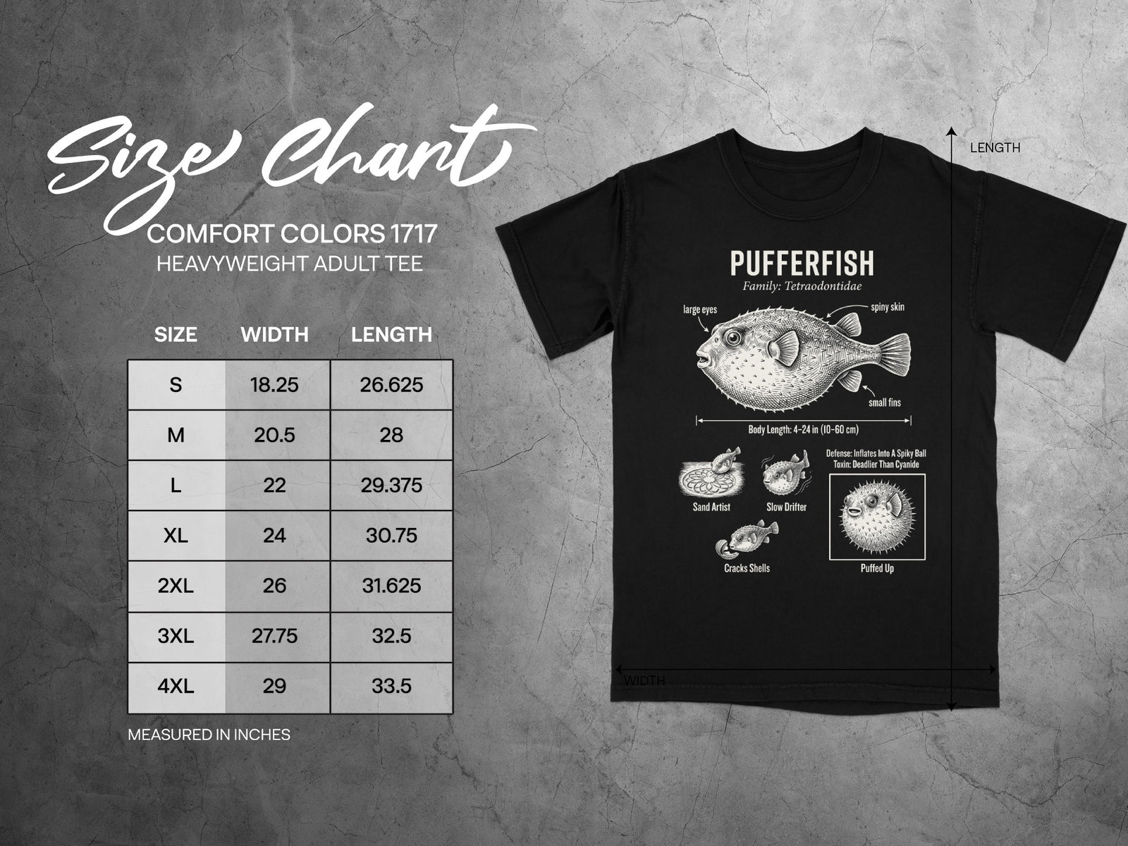 Comfort Colors 1717 garment size chart in inches.