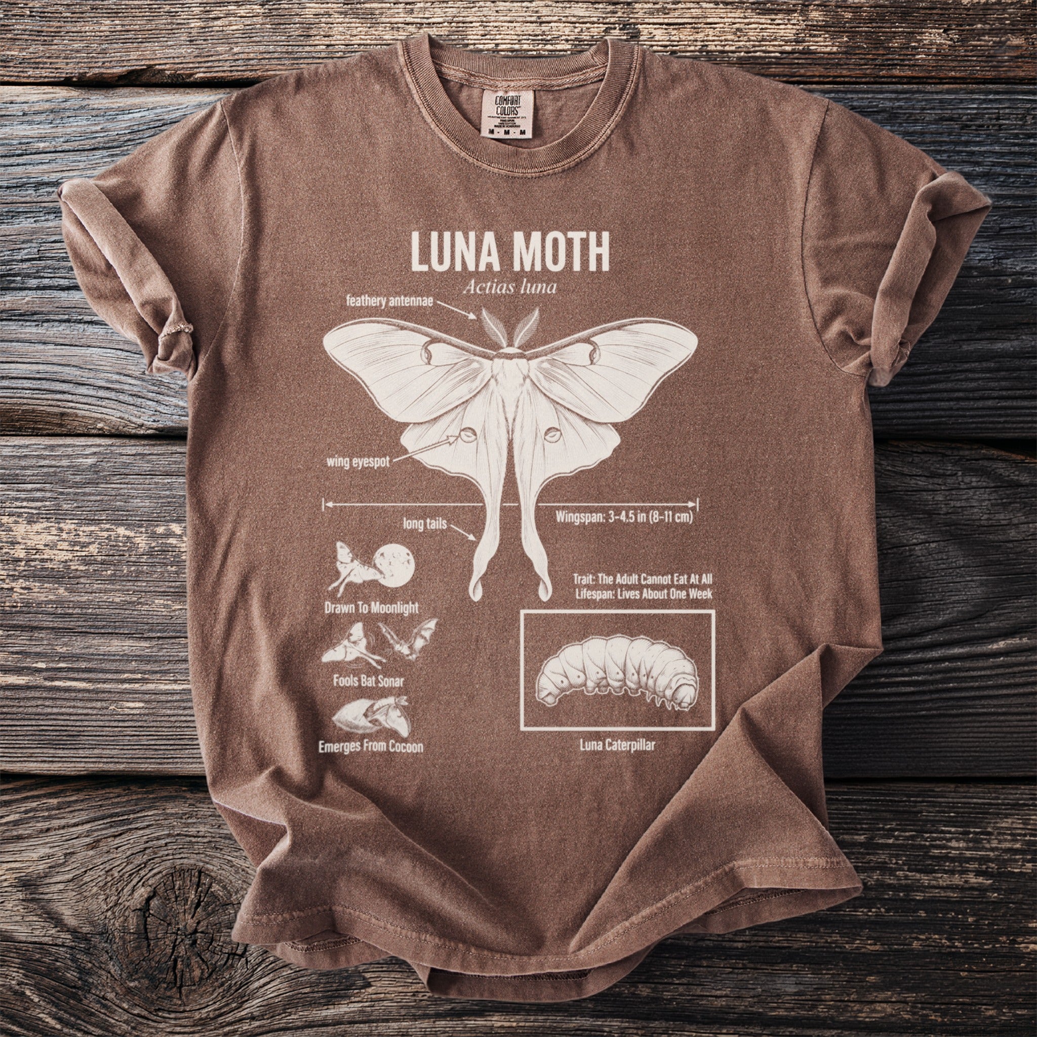 Brown t-shirt with diagram of luna moth, caterpillar, and life cycle stages.