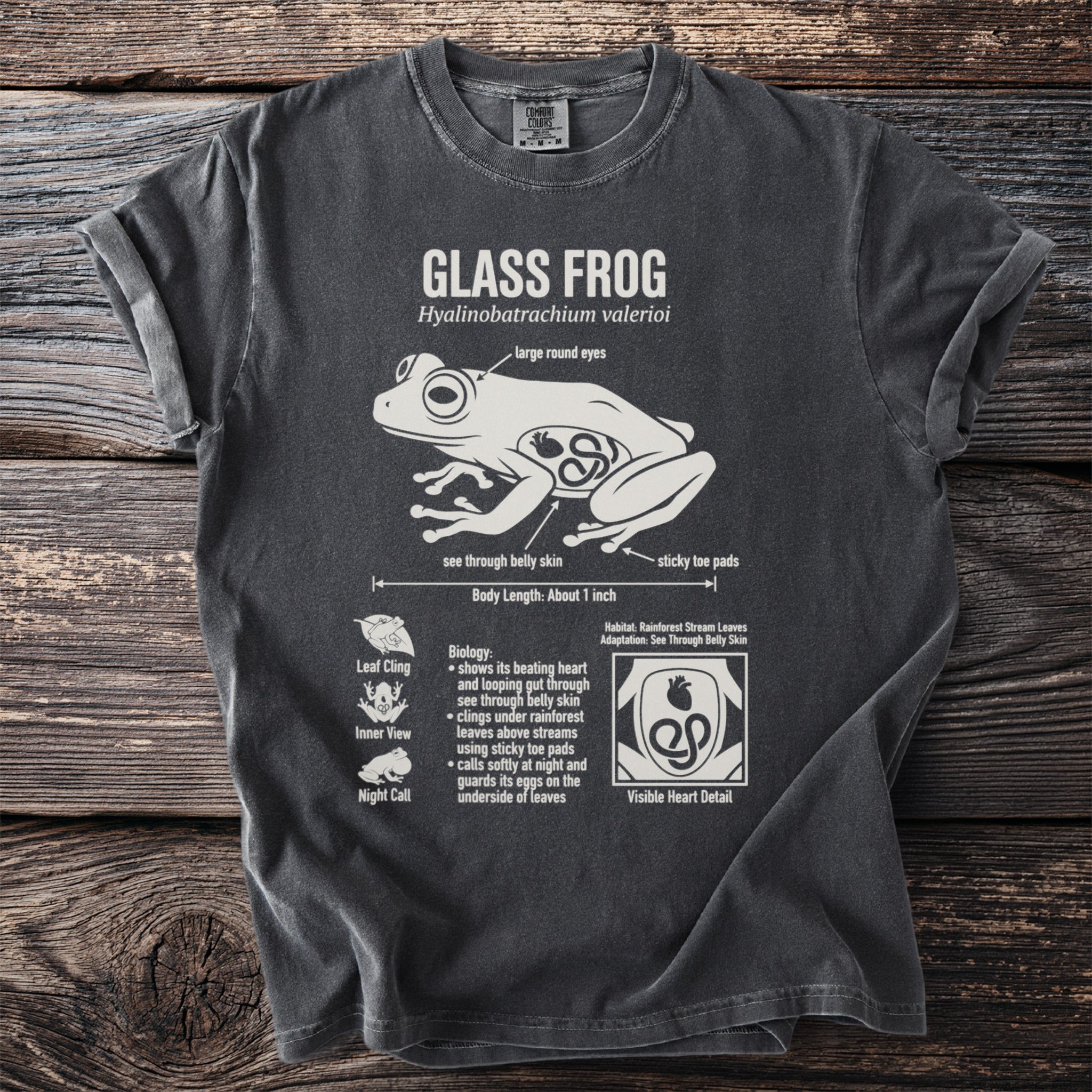 T-shirt graphic of a glass frog with scientific details and biology.