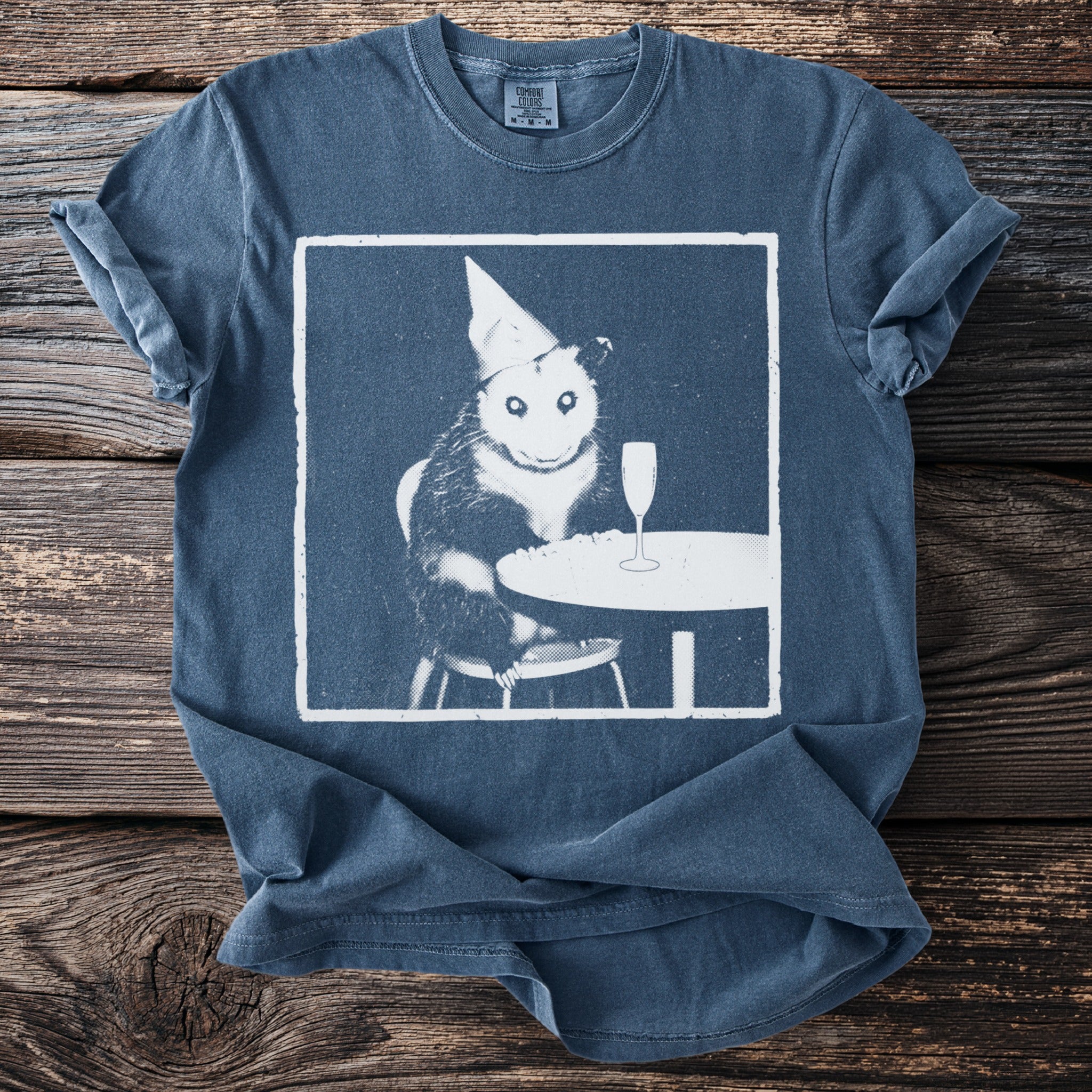 Opossum wearing party hat at table with champagne and snacks.