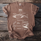 Brown t-shirt with diagram of orca, its features and behaviors.