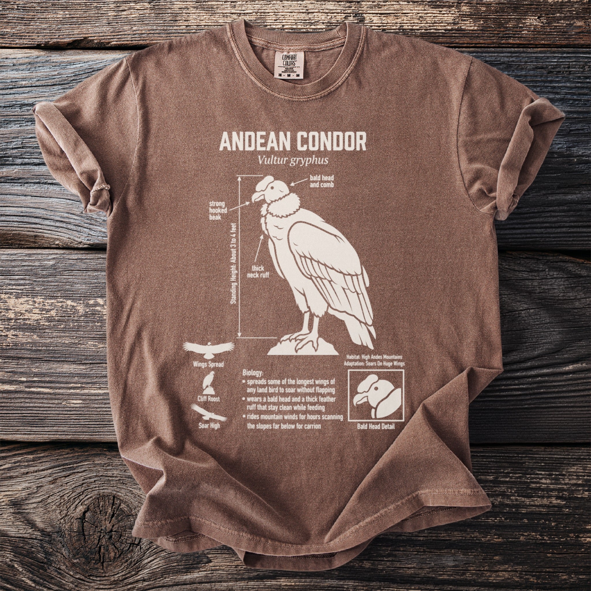Brown t-shirt with an outline illustration and information about the Andean Condor.