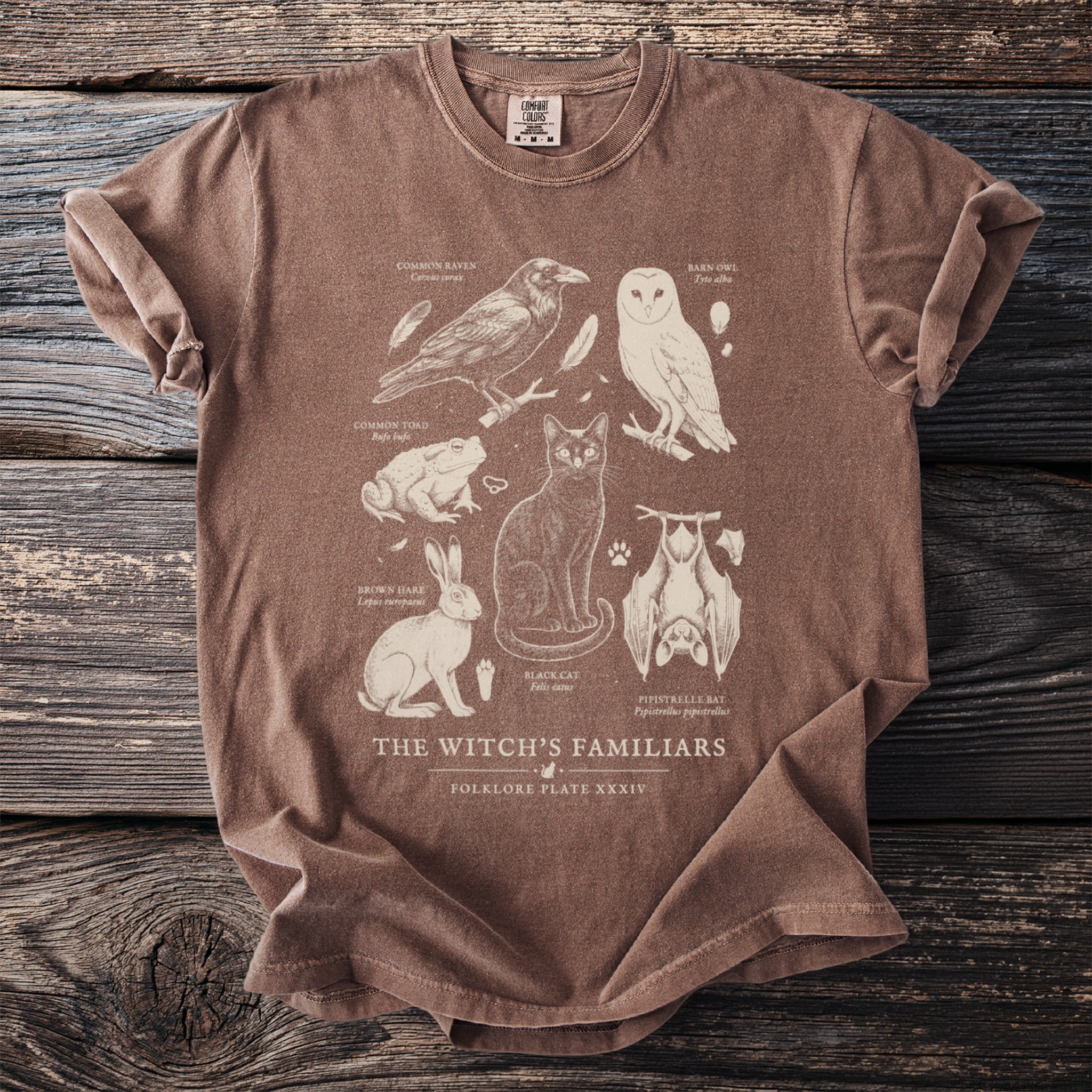 Brown t-shirt with 'The Witch's Familiars' illustration of a cat, owl, raven, bat, toad, and hare.