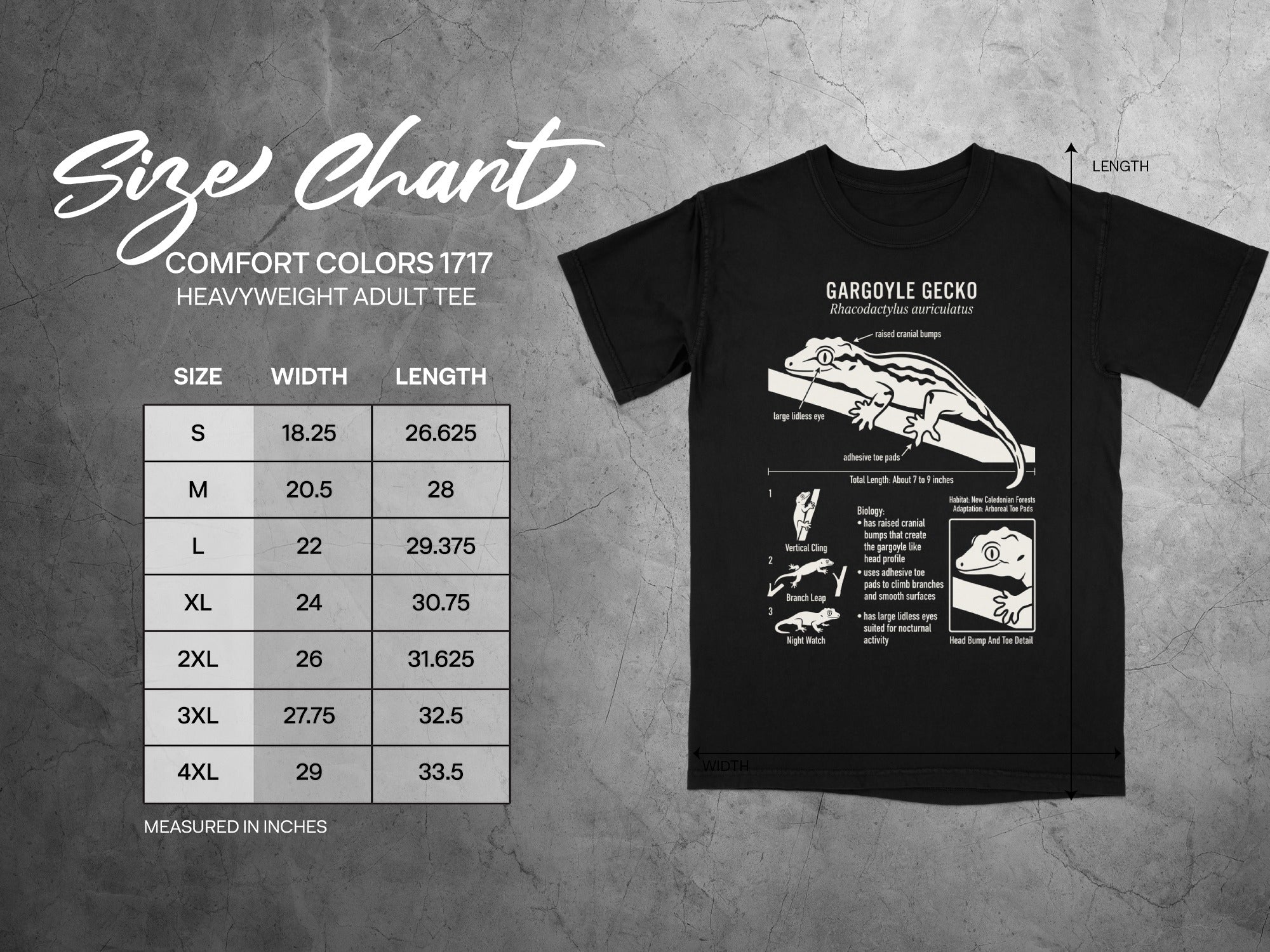 Comfort Colors 1717 adult tee size chart with gargoyle gecko graphic.