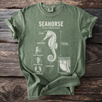 Green t-shirt with diagram of a seahorse, its body parts, and traits.