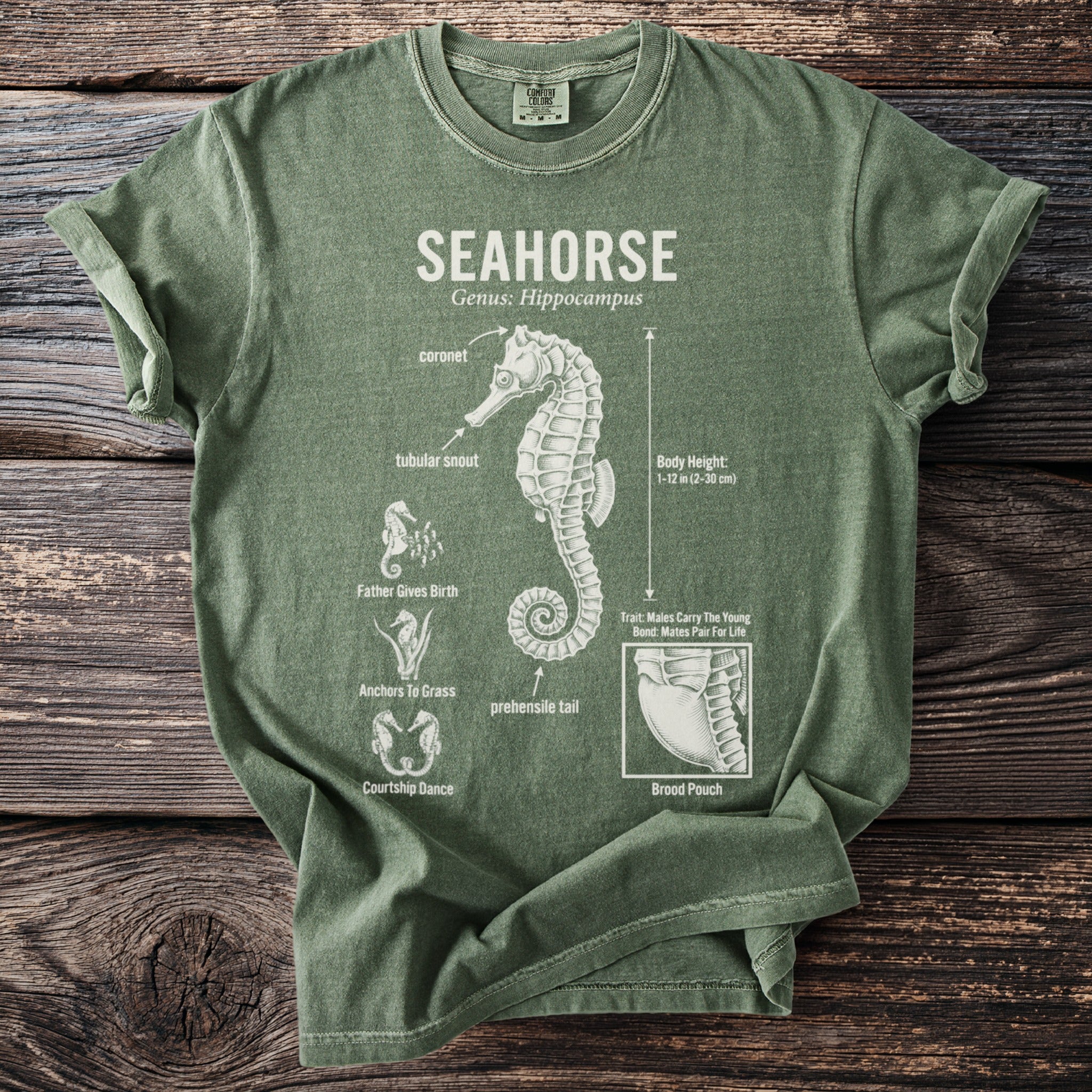 Green t-shirt with diagram of a seahorse, its body parts, and traits.