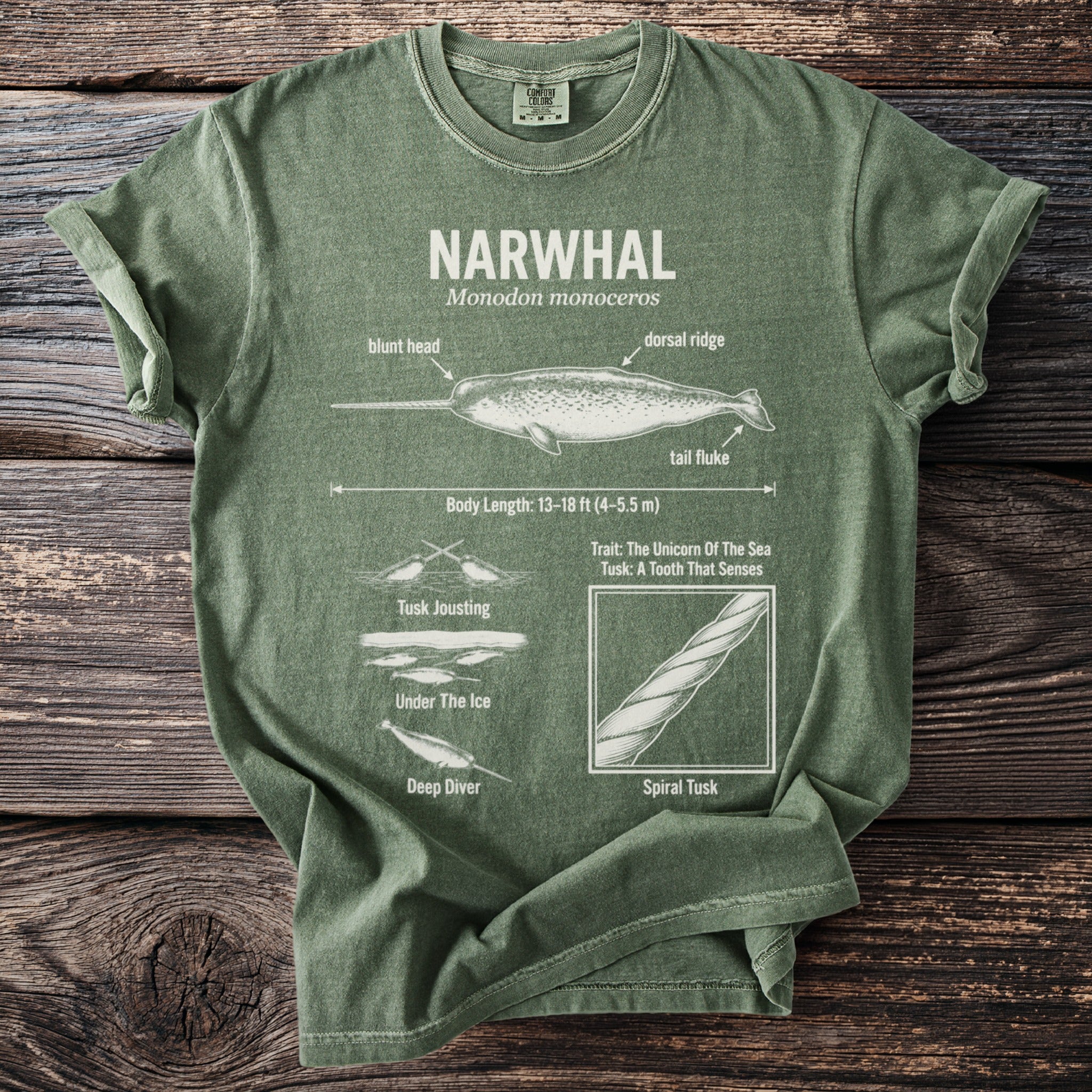 Green t-shirt with "Narwhal Monodon monoceros" diagram and facts.