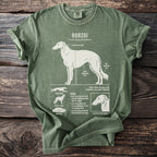 Olive green t-shirt with a white graphic of a Borzoi dog and its biological details.