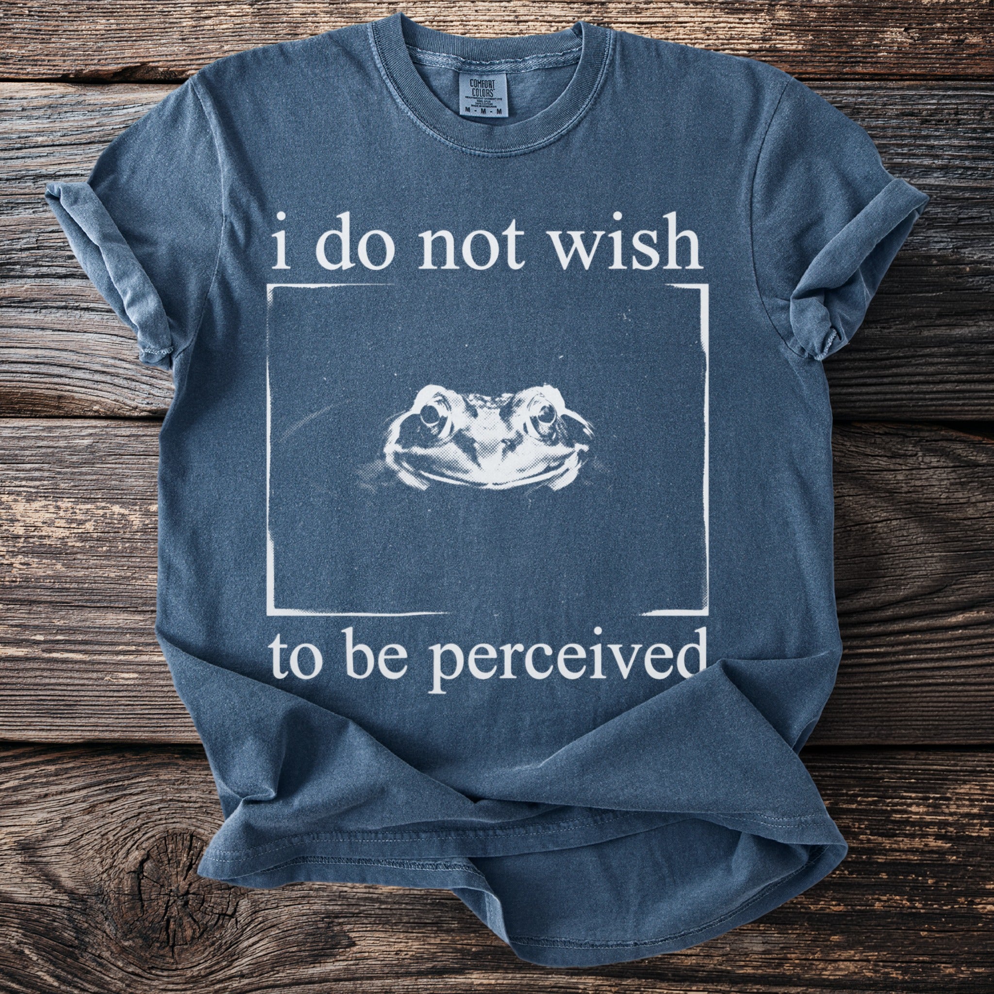 Blue t-shirt with a frog graphic and text "i do not wish to be perceived".