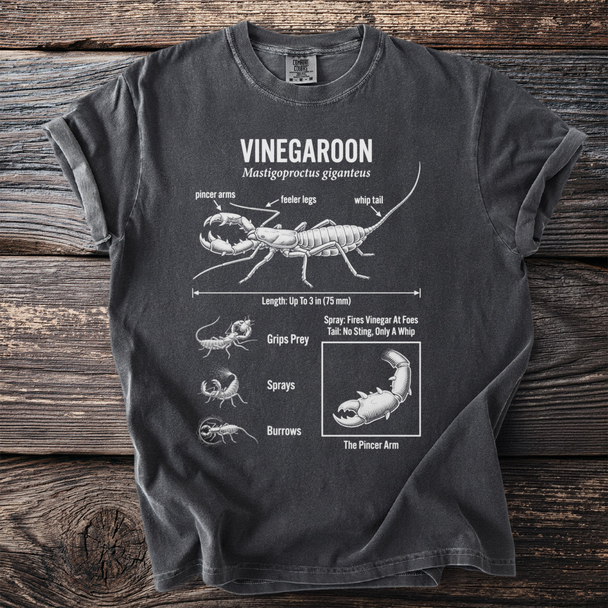 Vinegaroon anatomy diagram on a charcoal t-shirt showing pincer arms, feeler legs, and whip tail.