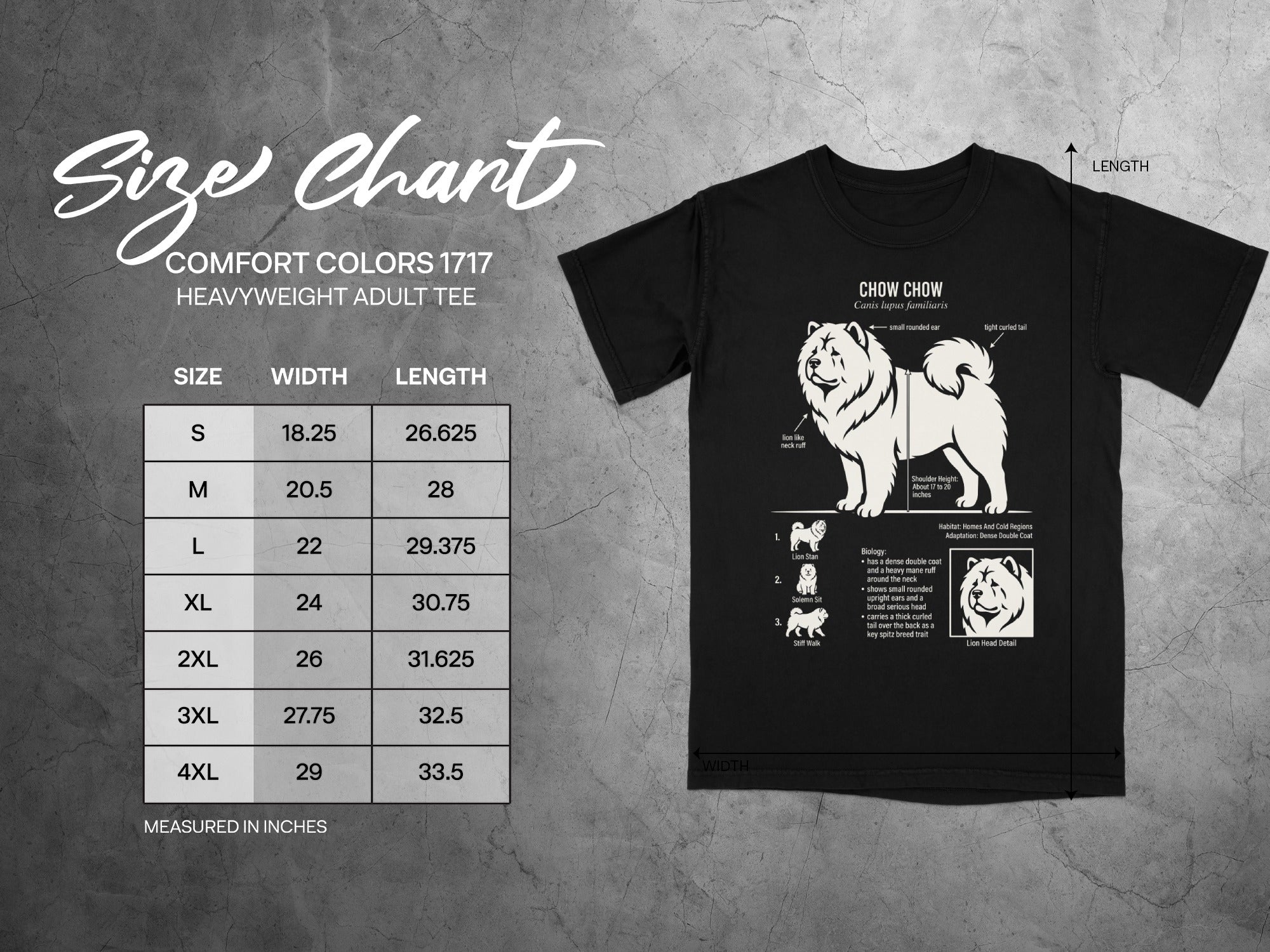 Chow Chow breed information and size chart for adult heavyweight tee.