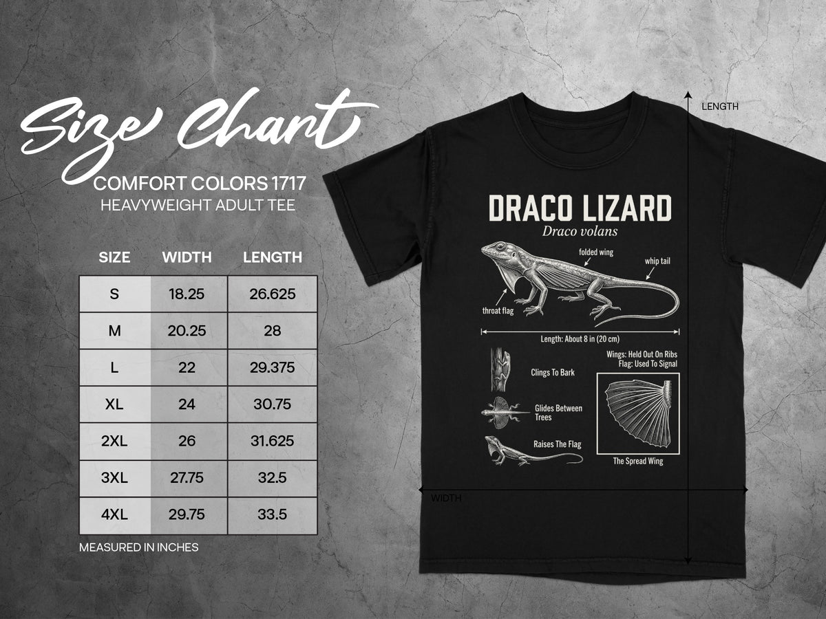 Comfort Colors 1717 size chart with Draco Lizard graphic on black tee.