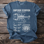 Emperor scorpion Pandinus imperator diagram showing anatomy, size, and traits.