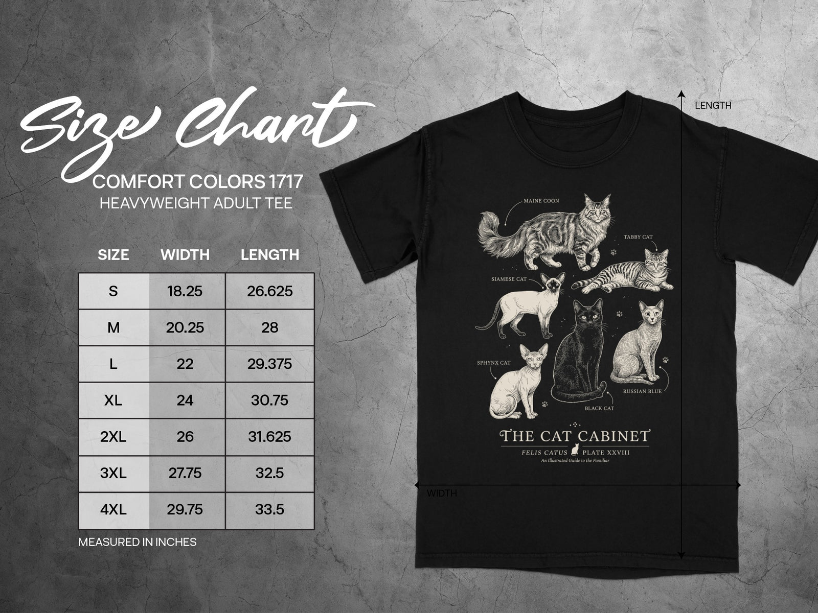 Comfort Colors 1717 heavyweight adult tee size chart with cat illustrations.
