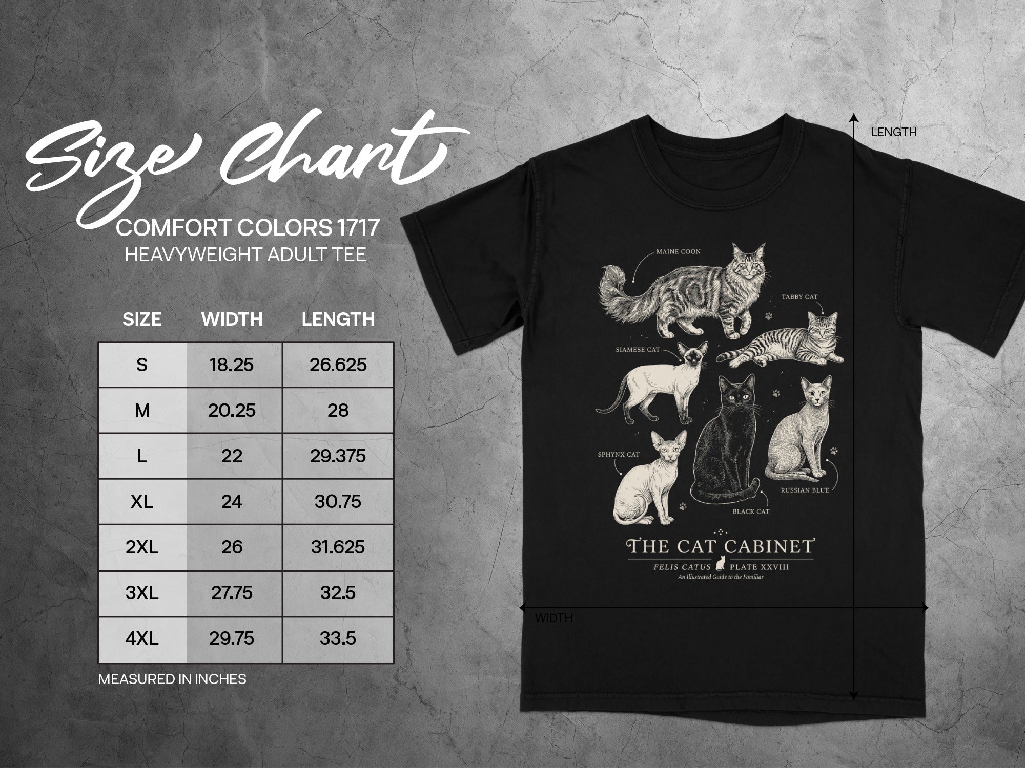 Comfort Colors 1717 heavyweight adult tee size chart with cat illustrations.