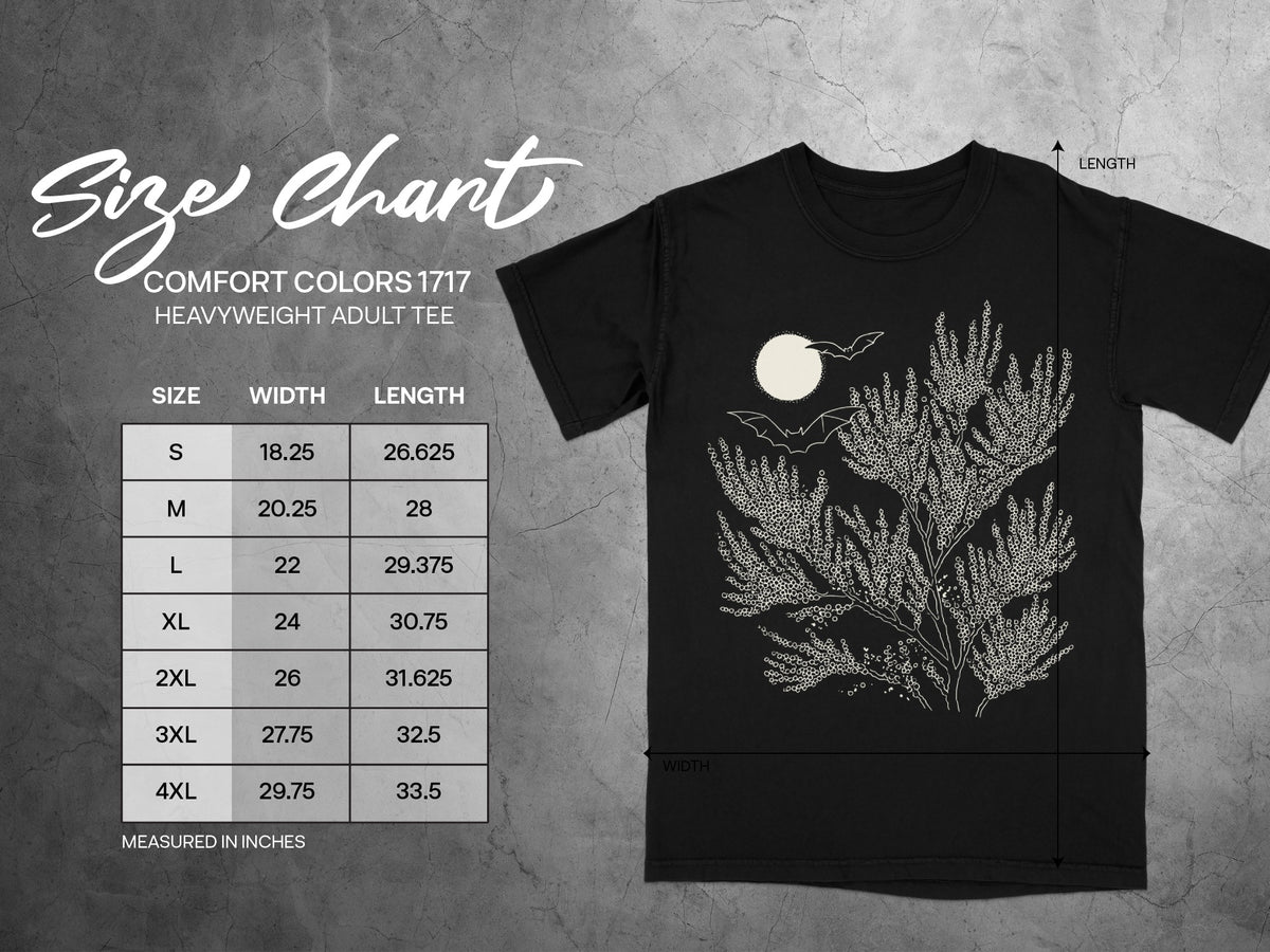 Comfort Colors 1717 adult tee size chart showing width and length measurements in inches.