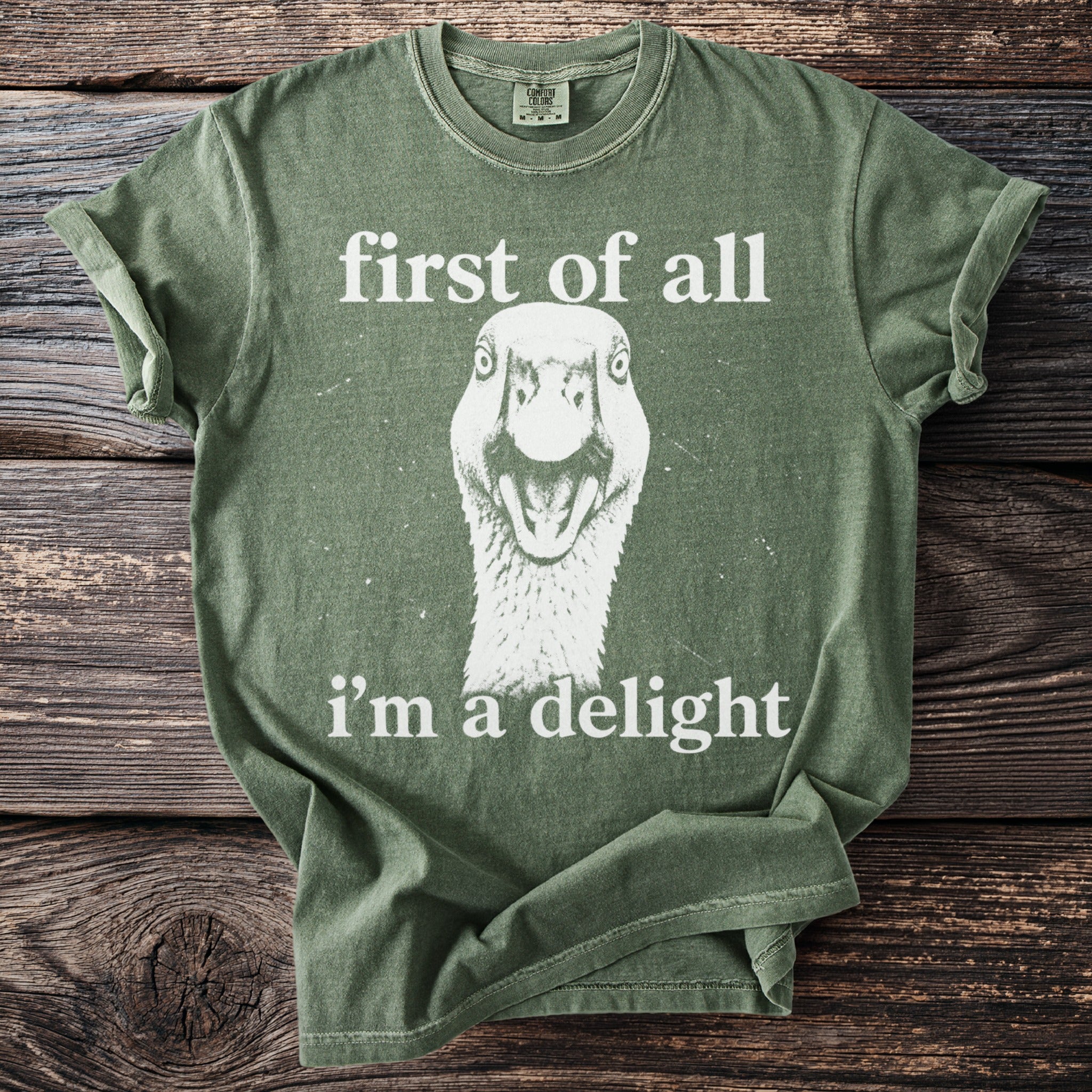 Green t-shirt with goose graphic and text "first of all i'm a delight".