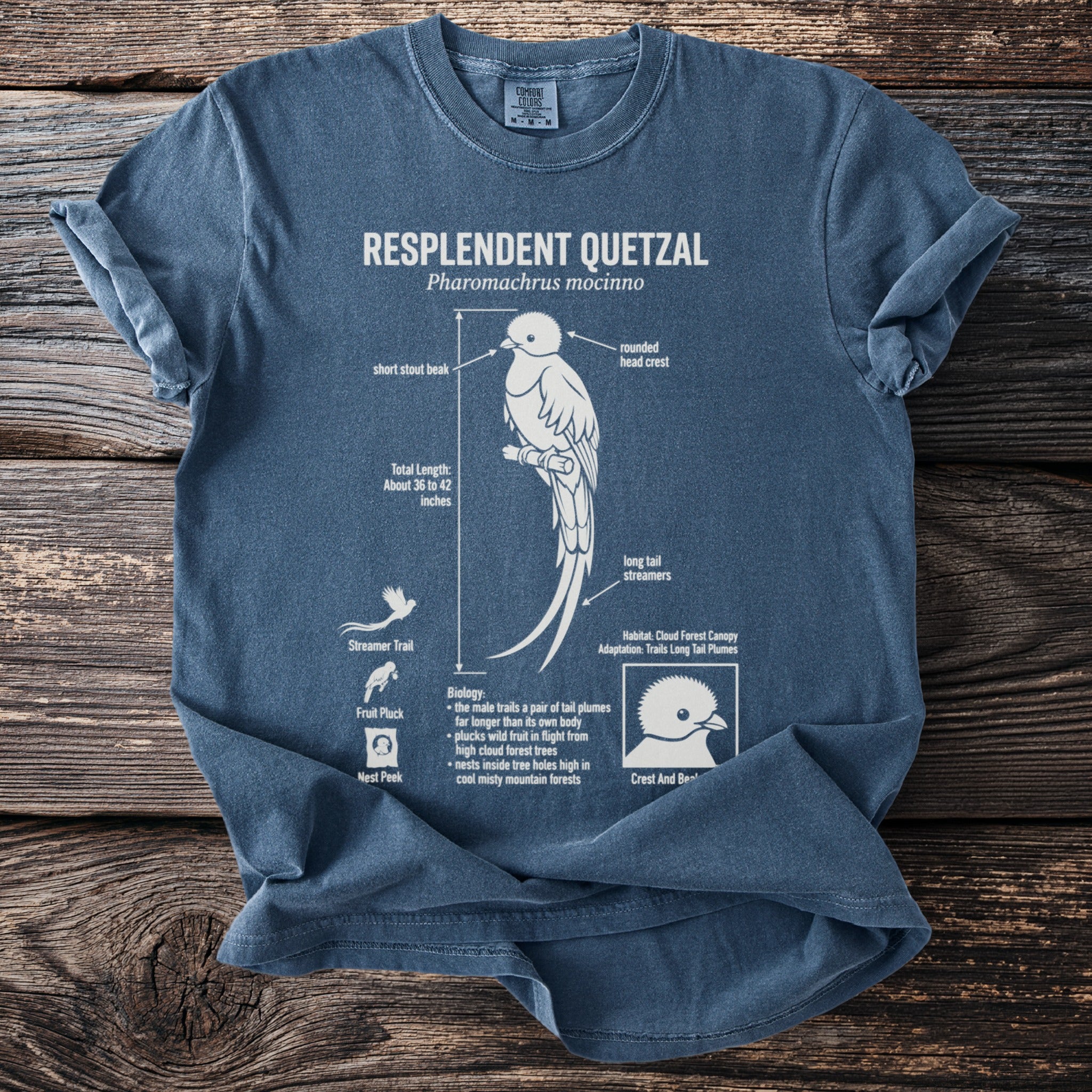 Blue t-shirt with white illustration of a Resplendent Quetzal detailing its beak, crest, and tail.