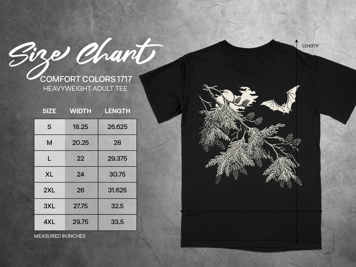 Comfort Colors 1717 heavyweight adult tee size chart with width and length measurements.