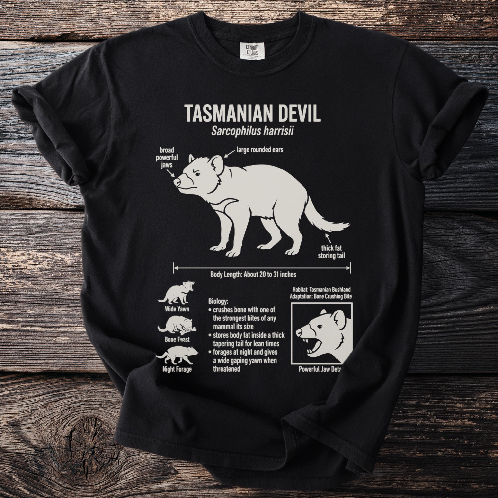 Tasmanian Devil facts and illustrations on a black t-shirt.
